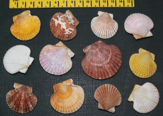 © Thijs de Boer © Thijs de Boer